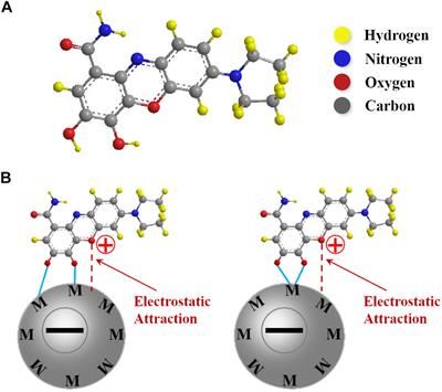 Zn-Fe Double Hydroxide-Carbon Nanotube Anodes for Asymmetric Supercapacitors